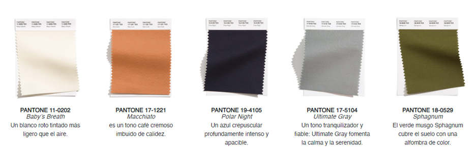 5 COLORES NEUTROS CLÁSICOS LFW